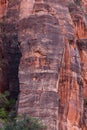 Rock Climbers in Zion