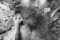 Rock climbing in Fontainebleau forest