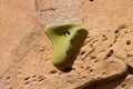 Rock Climbing Handhold Detail