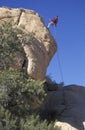 Rock climbing at Joshua Tree National Park, California Royalty Free Stock Photo