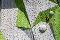 Rock Climbing Wall