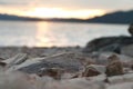 Rocks on a beach at sunset Royalty Free Stock Photo