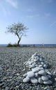 Rock collectors pebble beach philippines Royalty Free Stock Photo