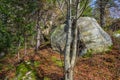 The rock complex of Tustan in Ukraine