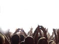 Rock concert audience Royalty Free Stock Photo