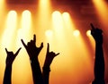 Rock, concert and silhouette of hands with fans in celebration of music, festival and event at night with energy. People Royalty Free Stock Photo