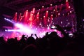 Rock concert, silhouettes of happy people raising up hands Royalty Free Stock Photo