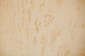 Rock concrete abstract neutral beige wall background Royalty Free Stock Photo