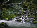 Rock covered with moss and river flowing in mountain from Ryu Sei waterfall, Hokkaido, Japan.