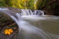 Rock Creek in Happy Valley Oregon USA