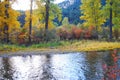 Rock Creek, Montana, Fall Colors. Royalty Free Stock Photo