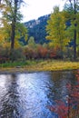 Rock Creek, Montana, Fall Colors. Royalty Free Stock Photo