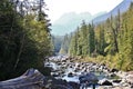 Rock, Creek, Mountain in Tofino, Vancouver Island, British Columbia, Canada