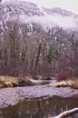 Rock Creek Winter Royalty Free Stock Photo