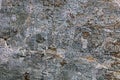 Rock detail covered with lichen texture