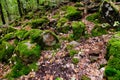 Rock Devil finger in caucasus mountains Royalty Free Stock Photo