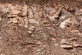 Rock and dirt background texture