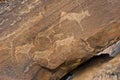 Rock Drawing, Painted Antelopes on Rocks, Twyfelfontein, Namibia, Rock Painting, Rock Pictures