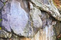 Rock Drawings in Valcamonica - capital 2 pines 4 Royalty Free Stock Photo