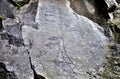 Rock Drawings in Valcamonica - capital 2 pines 2 Royalty Free Stock Photo