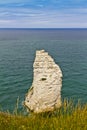 Rock Eagle (aiguilles) in Etretat