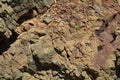 Stones, Elba mountain, water, abstract background Royalty Free Stock Photo