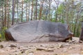 Rock `Elephant` in Stolby, Krsnoyarsk