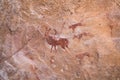 Rock engravings of Tassili n\'Ajjer-Desert of Tadrart