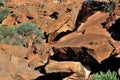 Rock engravings at Twyfelfontein, Namibia Royalty Free Stock Photo