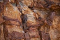 Rock face, closeup and mountain in nature, natural or travel outdoor with wall. Cliff, stone and environment for Royalty Free Stock Photo