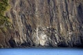 Rock face with sea cave, Flatrock, Newfoundland, Canada