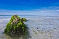 Rock at the famous surfer beach Pointe de la Torche in Brittany Royalty Free Stock Photo