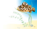 Rock fish in the water vector illustration