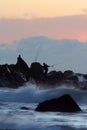 Rock fishing sunrise Royalty Free Stock Photo