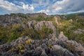 Rock forest mountain from bird eye view