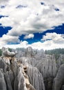 Rock forest near Kunming city Royalty Free Stock Photo