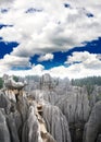 Rock forest near Kunming city