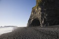 Rock formation on black sand beach Reynisfjara, Iceland