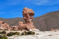 Rock formation called Copa del Mondo or World Cup in the Bolivean altiplano - Potosi Department, Bolivia