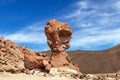 Rock formation called Copa del Mondo or World Cup in the Bolivean altiplano - Potosi Department, Bolivia