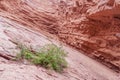 Rock formation called Garganta del Diablo Royalty Free Stock Photo