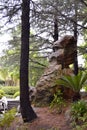 Rock formation, Chinese Garden of Friendship, Darling Harbour, Sydney, New South Wales, Australia