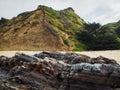 Rock Formation on Greyhound Rock Beach