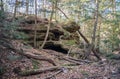 An arch house rock formation in Mammoth Cave National Park. Royalty Free Stock Photo