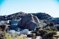 Rock formation in Joshua Tree National Park Royalty Free Stock Photo
