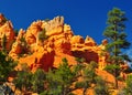 Rock formation in red canyon park in Utah. Royalty Free Stock Photo