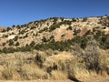 Limestone limestone hills with pine tress, brush under brilliant blue skies. Cedar City, Southern Utah Royalty Free Stock Photo