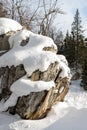 Rock formation in a spruce forest with snow in winter. Beautiful multi-tiered small rock covered with snow in the forest