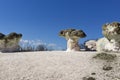 Rock formation The Stone Mushrooms near Beli plast village, Kardzhali Region, Bulgaria Royalty Free Stock Photo