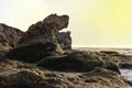 Rock formation and the surfer walk into the sea at suluban beach Bali Indonesia when the sunset time taken by low angle Royalty Free Stock Photo